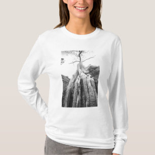T-shirt Angkor Cambodge, Arbre Ta Prohm