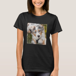 T-shirt Animaux de bébés cutest Australian Shepherd Pupp