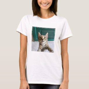 T-shirt Animaux de bébés cutest Cute Tabby Kitten