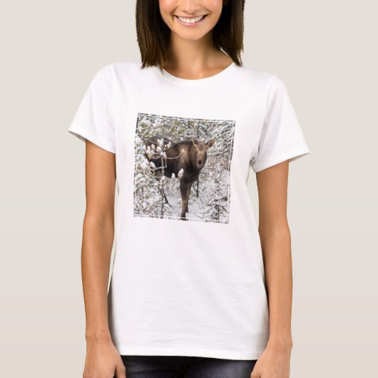 T-shirt Animaux de bébés cutest | Moose Calf (Devant)