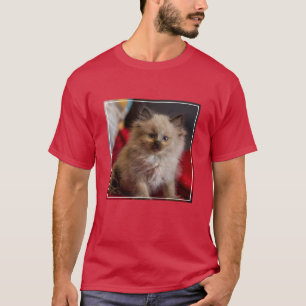 T-shirt Animaux de bébés cutest Siamese Kitten