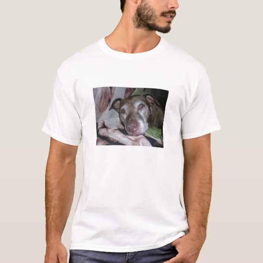 T-SHIRT ANML-RESQ T (Devant)