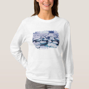 T-shirt Antarctique, Écoulement de glace.