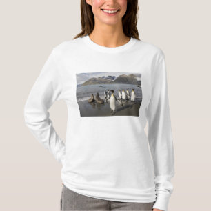 T-shirt Antarctique, île de Géorgie du Sud (Royaume-Uni),