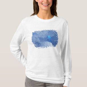 T-shirt Antarctique, île de Ross, cap Evans, grotte de nei