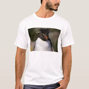 T-shirt Antarctique, îles subantarctiques, Sud 5