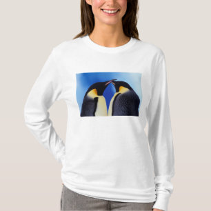 T-shirt Antarctique, Manchots empereurs
