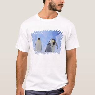 T-shirt Antarctique. Manchots empereurs et poussin