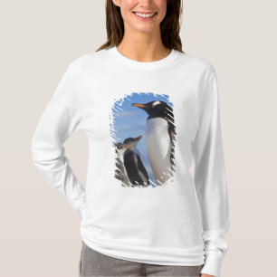 T-shirt Antarctique, Neko Cove (port). Manchot papou 2