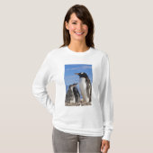 T-shirt Antarctique, Neko Cove (Port). Pingouin Gentoo 2 (Devant entier)