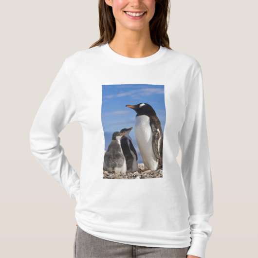 T-shirt Antarctique, Neko Cove (Port). Pingouin Gentoo 2 (Devant)