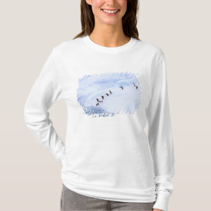 T-shirt Antarctique, péninsule Antarctique. Chinstrap