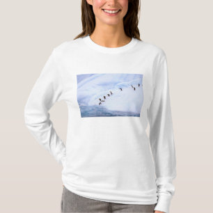 T-shirt Antarctique, péninsule Antarctique. Écran