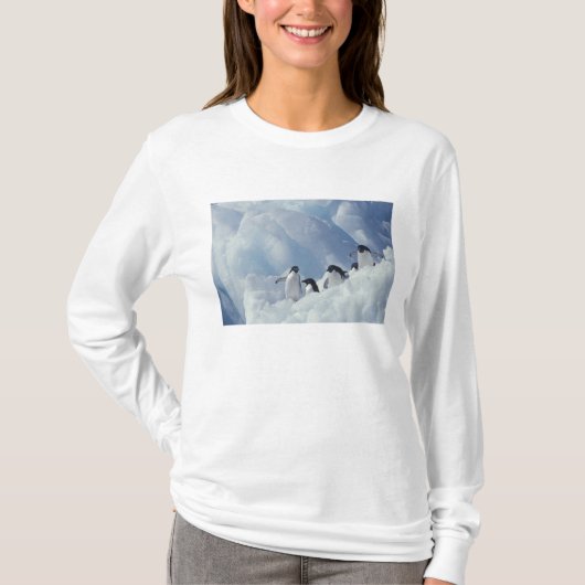 T-shirt Antarctique. Pingouins d'Adelie (Devant)