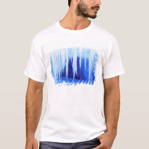 T-shirt Antarctique, Territoire antarctique australien. 2