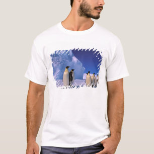 T-shirt Antarctique, Territoire antarctique australien, 7