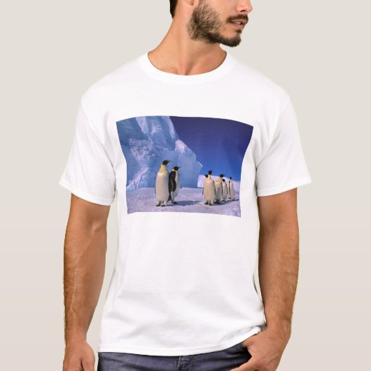 T-shirt Antarctique, territoire australien antarctique, 7 (Devant)