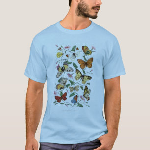 T-shirt Antique Paul Gervais Papillons Histoire naturelle