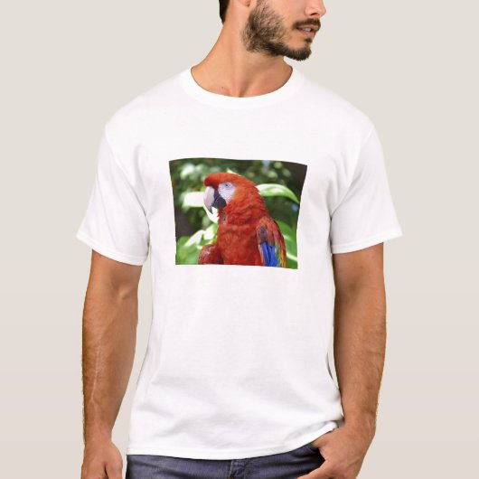 T-shirt Ara d'écarlate (Devant)