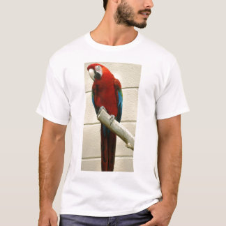 T-shirt Ara d'écarlate