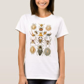 T-shirt Arachnida (Araignées), Ernst Haeckel Art (Devant)