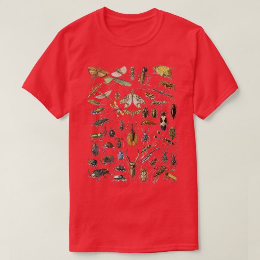 T-shirt Araignée d'insectes de Millot d'Adolphe (Design devant)