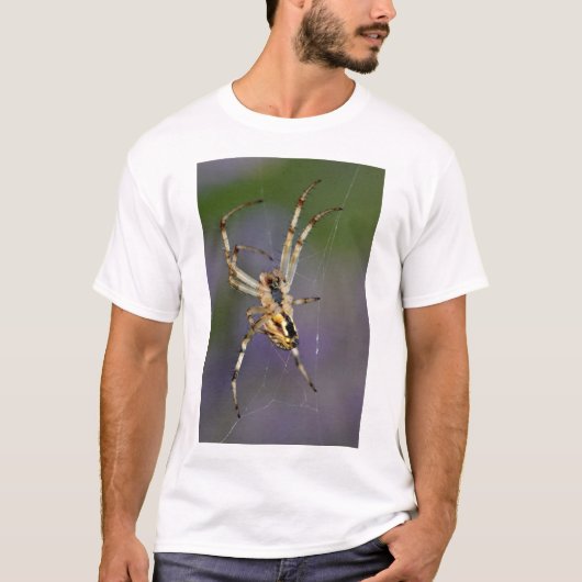 T-shirt Araignée sur sa toile (Devant)