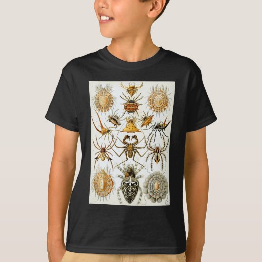 T-shirt Araignées des arachnides d'Ernst Haeckel (Devant)