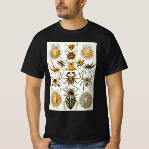 T-shirt Araignées ou arachnides vintages par Ernst Haeckel