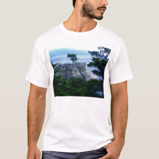 T-shirt Arbre de Monterey
