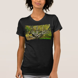 T-shirt Arbre mystique noueux de bouleau de Carélie