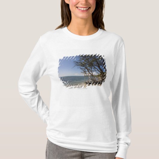 T-shirt Arbre sur une plage le long du littoral (Devant)