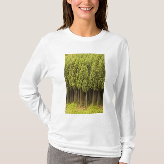 T-shirt Arbres de cèdre de Koya Sugi (Devant)