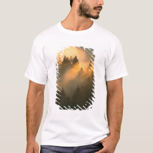 T-shirt Arbres de séquoia dans le brouillard côtier, comté