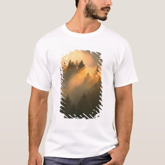 T-shirt Arbres de séquoia dans le brouillard côtier, comté (Devant)