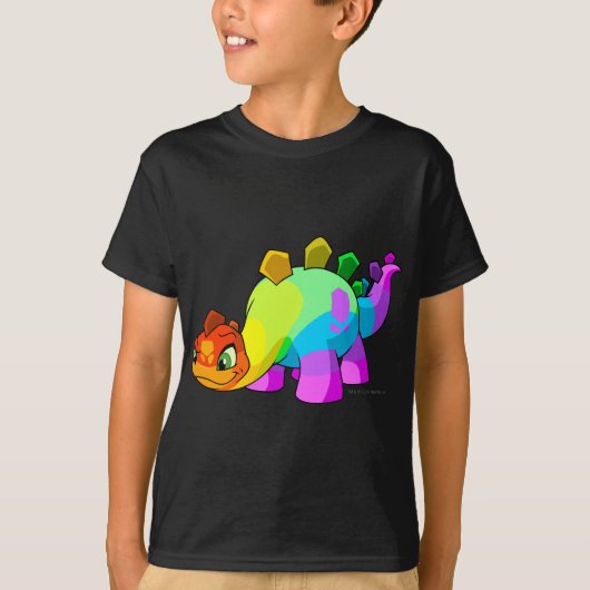 T-shirt Arc-en-ciel de Chomby (Devant)