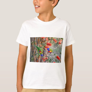 T-SHIRT ARC-EN-CIEL LORIKEET QUEENSLAND RURAL AUSTRALIE