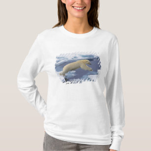 T-shirt Arctique, Svalbard, Ours polaire s'étendant