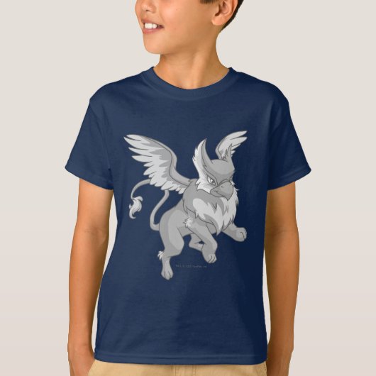 T-shirt Argent d'aire (Devant)