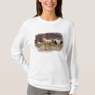 T-shirt Arizona, réserve indienne navajo, Chinle,