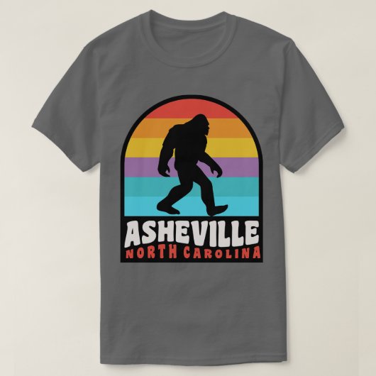 T-shirt Asheville North olina Blue Ridge Mountains (Design devant)