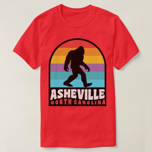 T-shirt Asheville North olina Blue Ridge Mountains (Design devant)