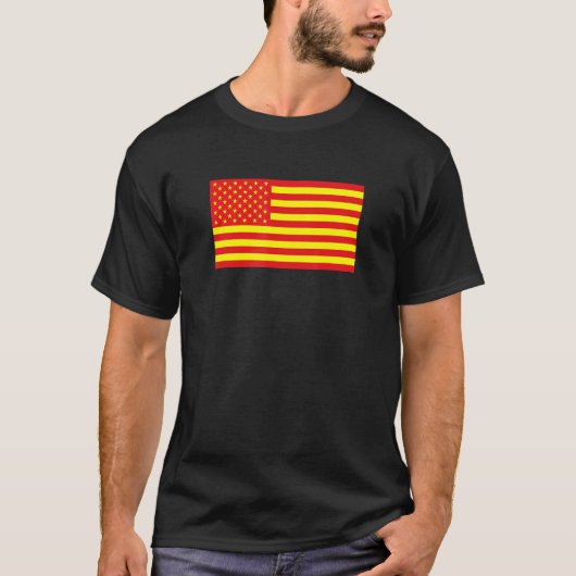 T-shirt Asian American Flag (Devant)