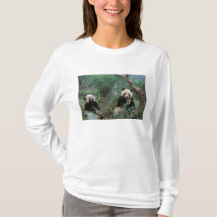 T-shirt Asie, Chine, Sanctuaire des pandas géants de Cheng