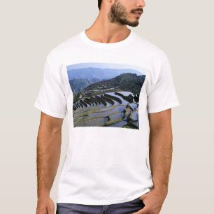 T-shirt Asie, Chine, Yunnan, Yuanyang. Accidenté
