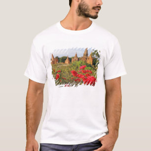 T-shirt Asie, Myanmar (Birmanie), Bagan (Pagan). Un Bagan