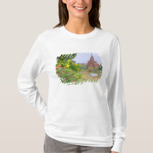T-shirt Asie, Myanmar (Birmanie), Bagan (Pagan). Vaches