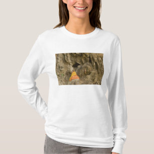 T-shirt Asie, Thaïlande, Mae Hong Son, Images de Bouddha