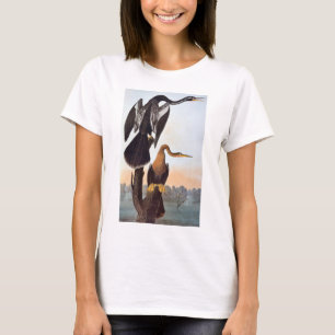 T-shirt Audubon : Anhinga