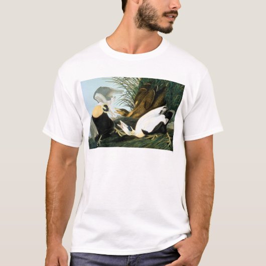 T-shirt Audubon : Canard d'Eider (Devant)